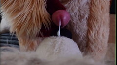 Fursuit Fucks Whtie Teddy Bear and Cums on him Thumb