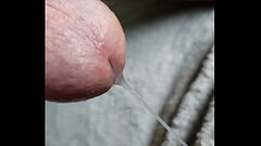 Prostate Milking drip drip drip Thumb