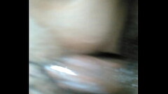 MS. Bee Thumb